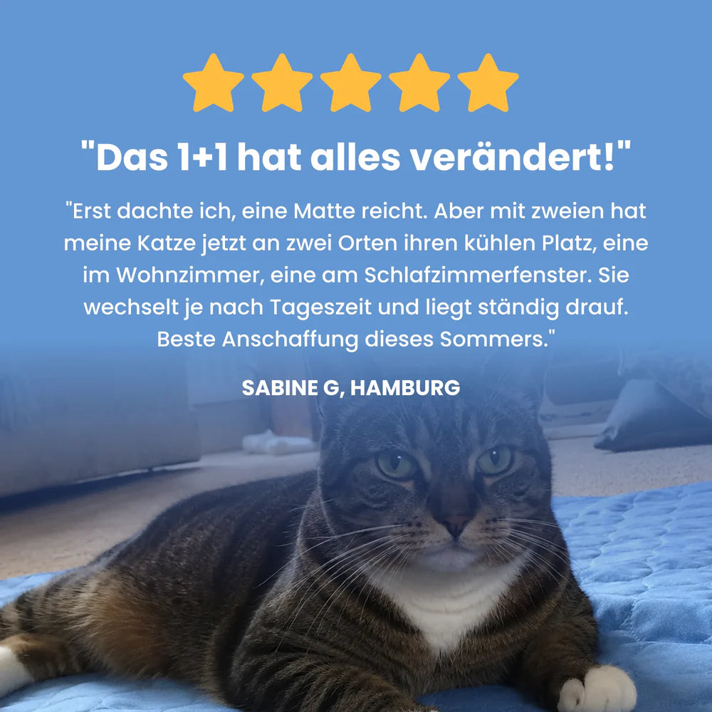 ColdCat Kühlmatte