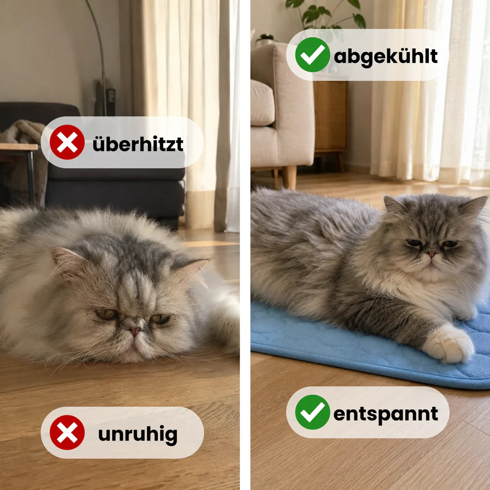 ColdCat Kühlmatte