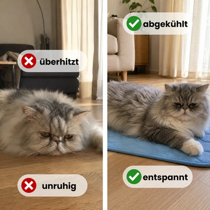 ColdCat Kühlmatte