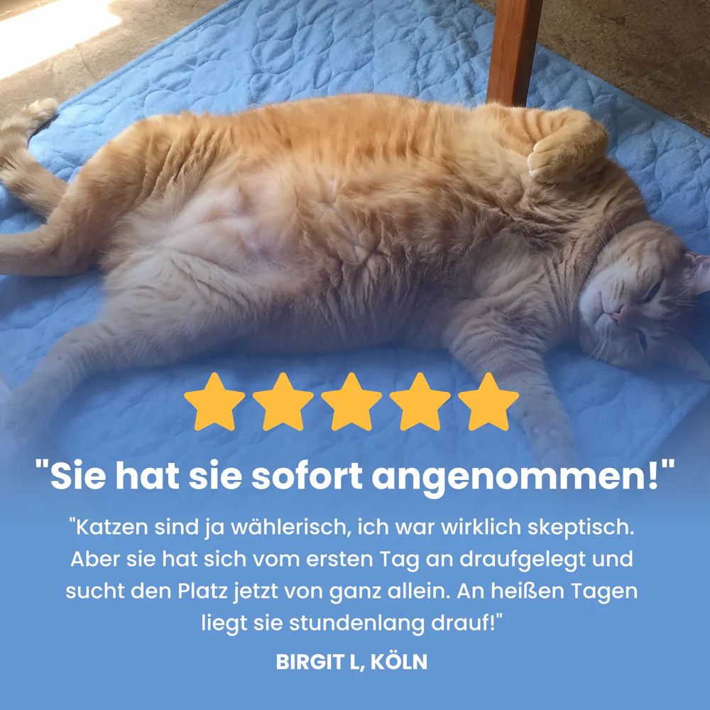 ColdCat Kühlmatte